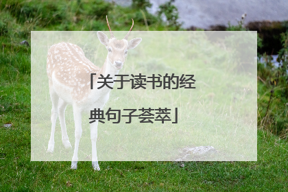 关于读书的经典句子荟萃