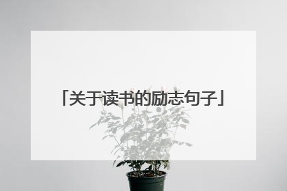 关于读书的励志句子