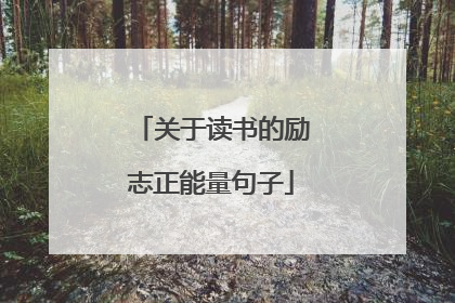 关于读书的励志正能量句子