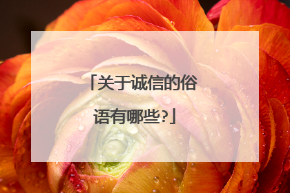 关于诚信的俗语有哪些?