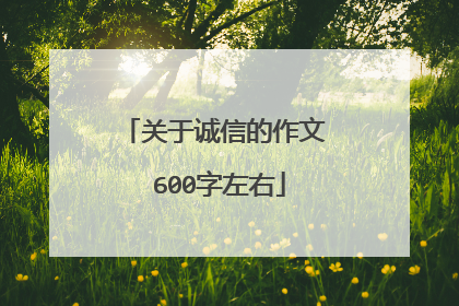 关于诚信的作文 600字左右