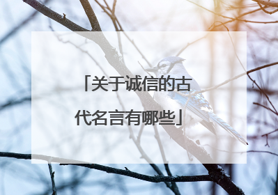关于诚信的古代名言有哪些