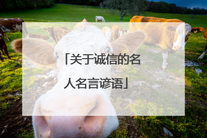 关于诚信的名人名言谚语