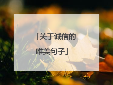 关于诚信的唯美句子