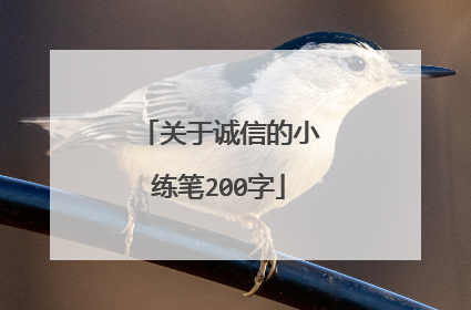 关于诚信的小练笔200字