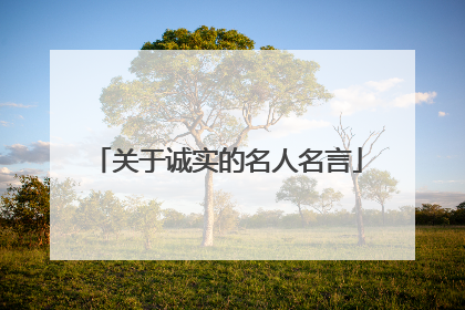 关于诚实的名人名言