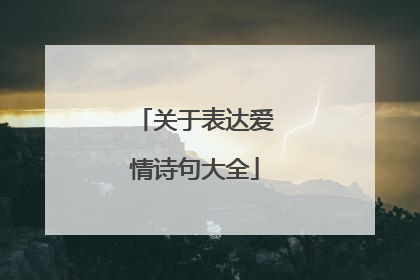 关于表达爱情诗句大全