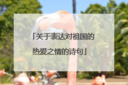 关于表达对祖国的热爱之情的诗句