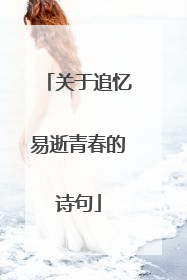 关于追忆易逝青春的诗句
