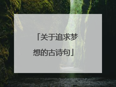 关于追求梦想的古诗句