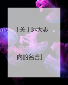 关于远大志向的名言
