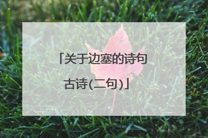 关于边塞的诗句古诗(二句)
