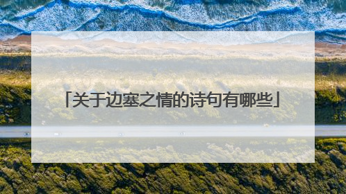 关于边塞之情的诗句有哪些