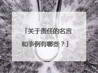 关于责任的名言和事例有哪些？