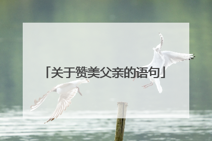关于赞美父亲的语句