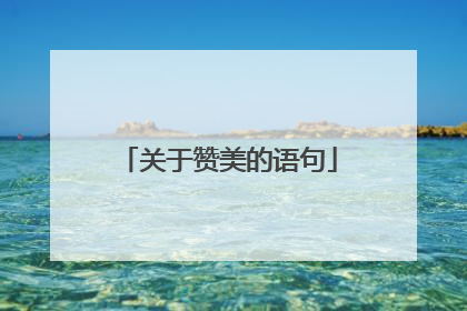 关于赞美的语句