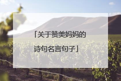 关于赞美妈妈的诗句名言句子