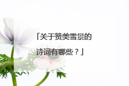 关于赞美雪景的诗词有哪些？
