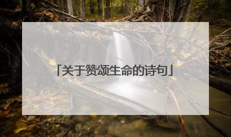关于赞颂生命的诗句