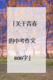关于青春的中考作文800字