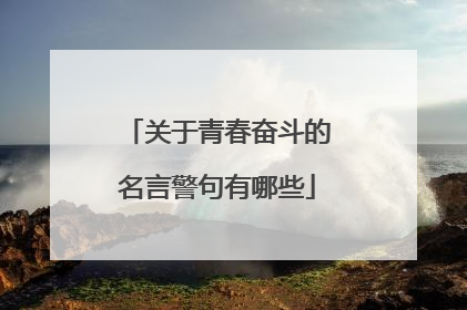 关于青春奋斗的名言警句有哪些