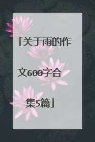 关于雨的作文600字合集5篇