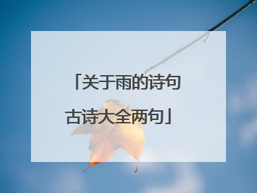 关于雨的诗句古诗大全两句