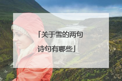关于雪的两句诗句有哪些