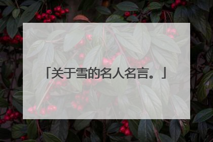 关于雪的名人名言。