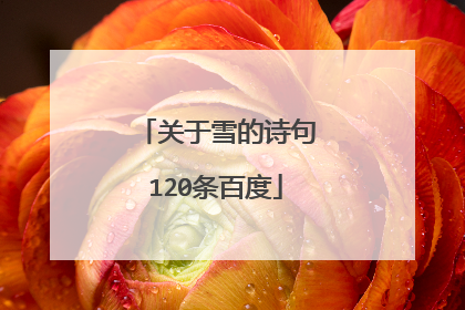 关于雪的诗句120条百度