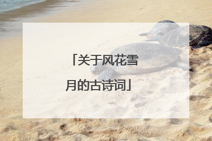 关于风花雪月的古诗词