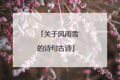 关于风雨雪的诗句古诗