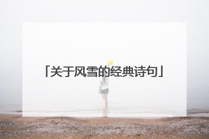 关于风雪的经典诗句