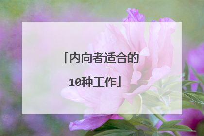 内向者适合的10种工作