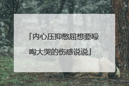 内心压抑憋屈想要嚎啕大哭的伤感说说