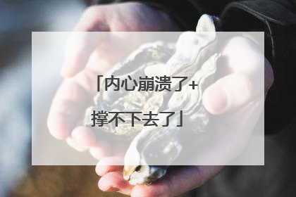 内心崩溃了+撑不下去了