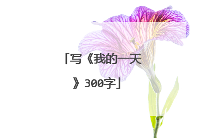 写《我的一天》300字
