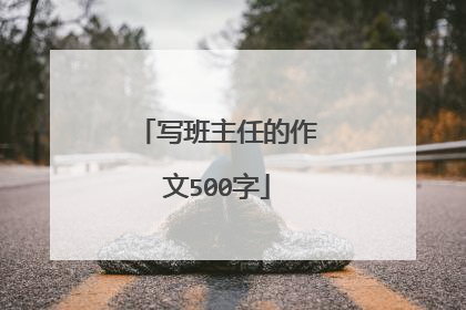 写班主任的作文500字