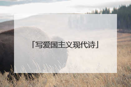 写爱国主义现代诗