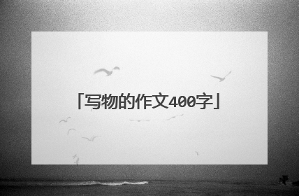 写物的作文400字