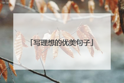 写理想的优美句子