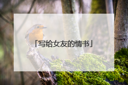 写给女友的情书
