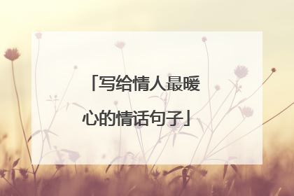 写给情人最暖心的情话句子