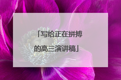 写给正在拼搏的高三演讲稿