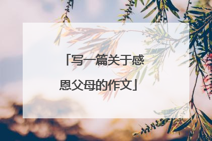 写一篇关于感恩父母的作文
