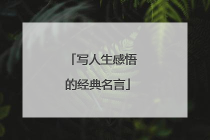 写人生感悟的经典名言