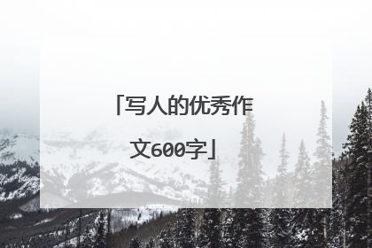写人的优秀作文600字