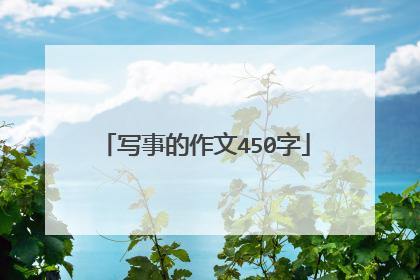 写事的作文450字