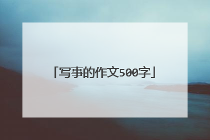 写事的作文500字