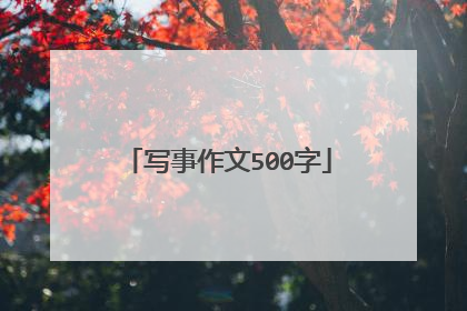 写事作文500字